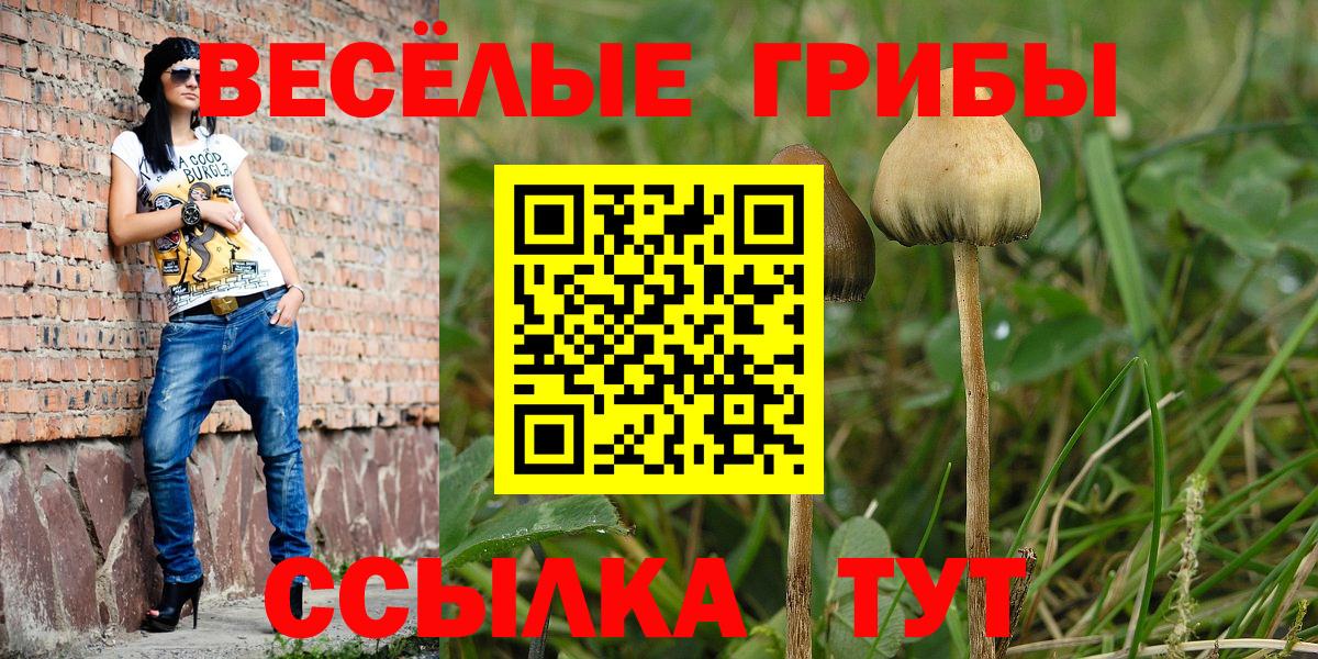 Псилоцибиновые грибы Magic Shrooms Лосино-Петровский